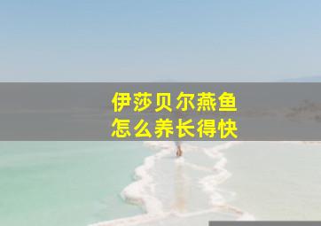 伊莎贝尔燕鱼怎么养长得快