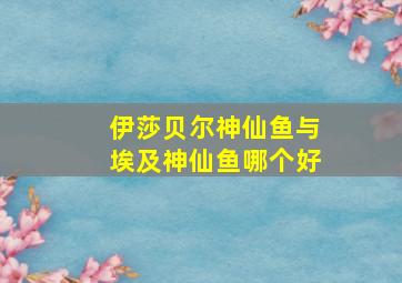 伊莎贝尔神仙鱼与埃及神仙鱼哪个好