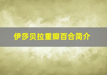 伊莎贝拉重瓣百合简介