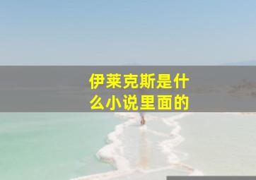 伊莱克斯是什么小说里面的