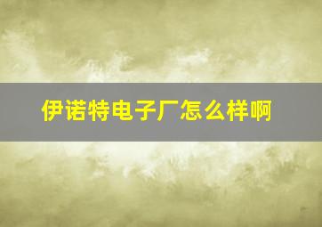 伊诺特电子厂怎么样啊