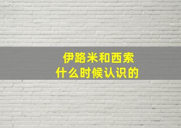 伊路米和西索什么时候认识的