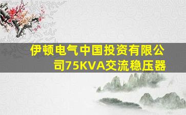 伊顿电气中国投资有限公司75KVA交流稳压器