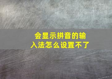 会显示拼音的输入法怎么设置不了