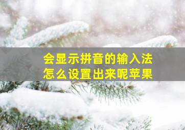 会显示拼音的输入法怎么设置出来呢苹果