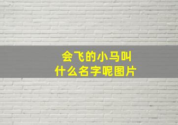 会飞的小马叫什么名字呢图片