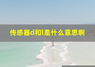 传感器d和l是什么意思啊