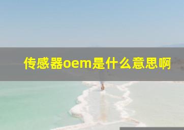 传感器oem是什么意思啊