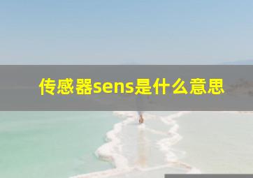 传感器sens是什么意思