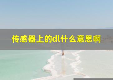 传感器上的dl什么意思啊