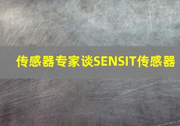 传感器专家谈SENSIT传感器