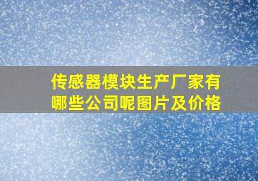 传感器模块生产厂家有哪些公司呢图片及价格