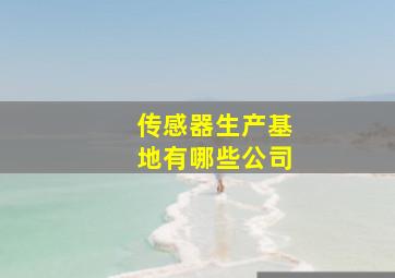 传感器生产基地有哪些公司