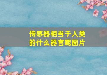 传感器相当于人类的什么器官呢图片