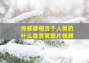 传感器相当于人类的什么器官呢图片视频