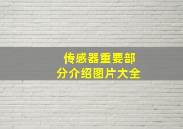 传感器重要部分介绍图片大全