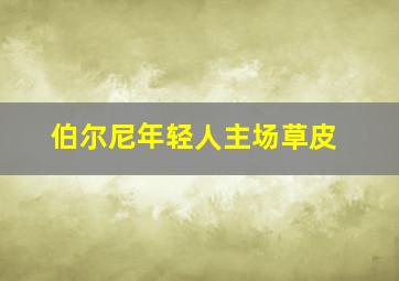 伯尔尼年轻人主场草皮