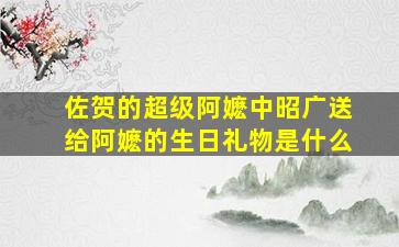 佐贺的超级阿嬷中昭广送给阿嬷的生日礼物是什么