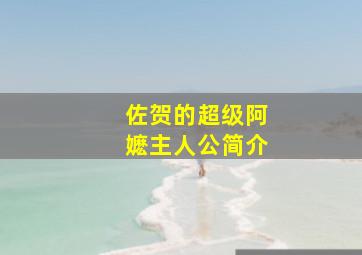 佐贺的超级阿嬷主人公简介