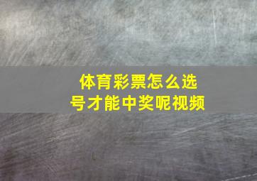 体育彩票怎么选号才能中奖呢视频