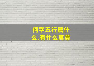 何字五行属什么,有什么寓意