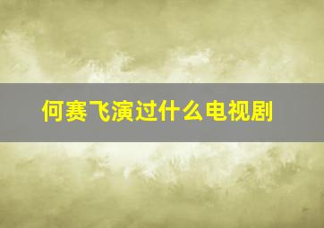 何赛飞演过什么电视剧