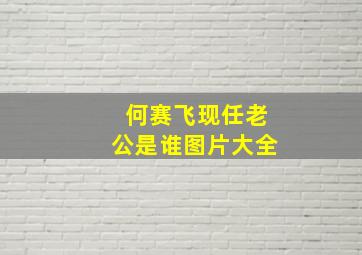 何赛飞现任老公是谁图片大全