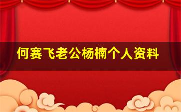 何赛飞老公杨楠个人资料