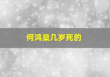 何鸿燊几岁死的