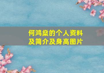 何鸿燊的个人资料及简介及身高图片