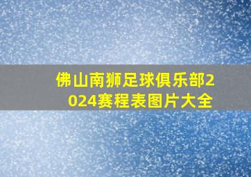 佛山南狮足球俱乐部2024赛程表图片大全