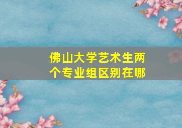 佛山大学艺术生两个专业组区别在哪