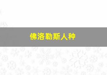 佛洛勒斯人种