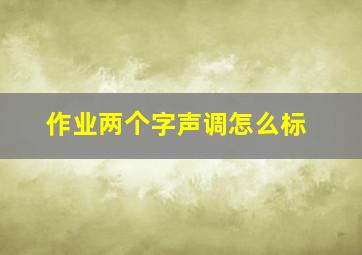 作业两个字声调怎么标