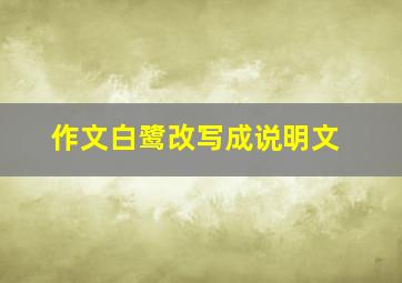 作文白鹭改写成说明文