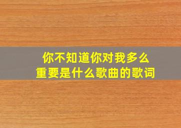 你不知道你对我多么重要是什么歌曲的歌词