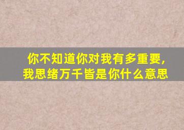 你不知道你对我有多重要,我思绪万千皆是你什么意思