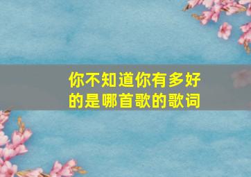 你不知道你有多好的是哪首歌的歌词