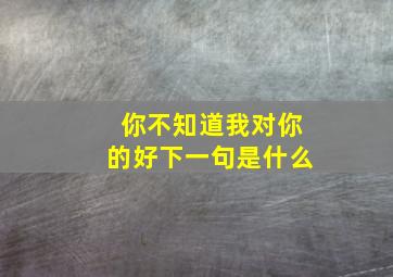 你不知道我对你的好下一句是什么