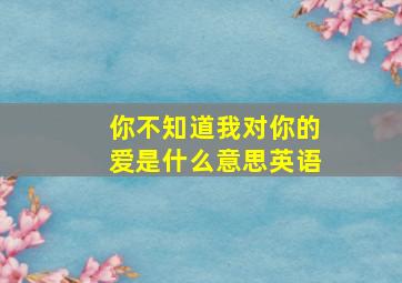 你不知道我对你的爱是什么意思英语