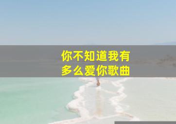 你不知道我有多么爱你歌曲