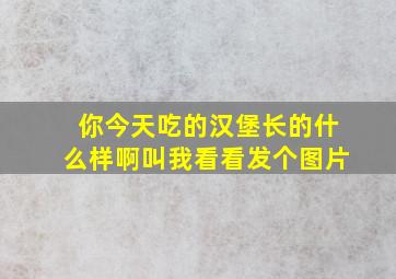 你今天吃的汉堡长的什么样啊叫我看看发个图片