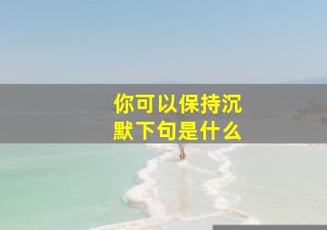 你可以保持沉默下句是什么