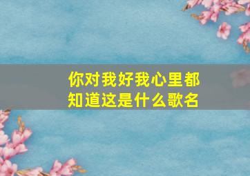 你对我好我心里都知道这是什么歌名