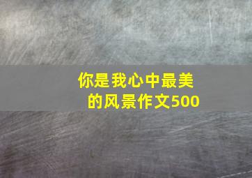 你是我心中最美的风景作文500