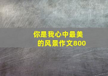 你是我心中最美的风景作文800