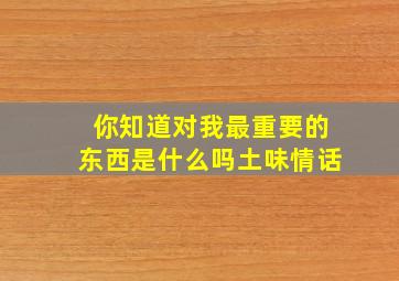 你知道对我最重要的东西是什么吗土味情话