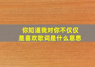 你知道我对你不仅仅是喜欢歌词是什么意思