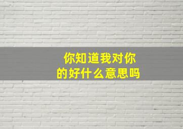 你知道我对你的好什么意思吗