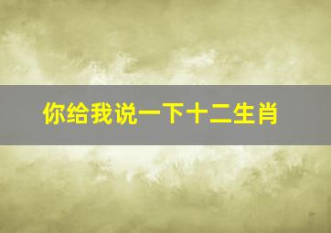 你给我说一下十二生肖